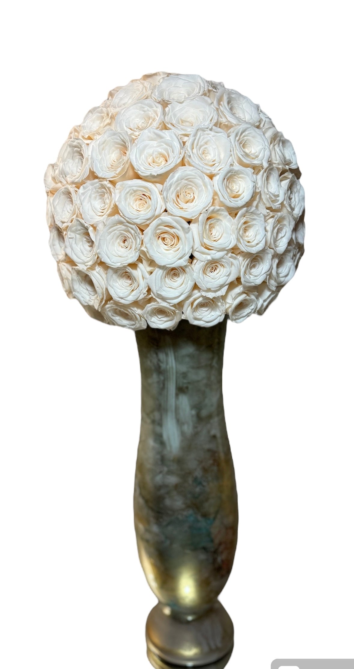 Ivory Grace