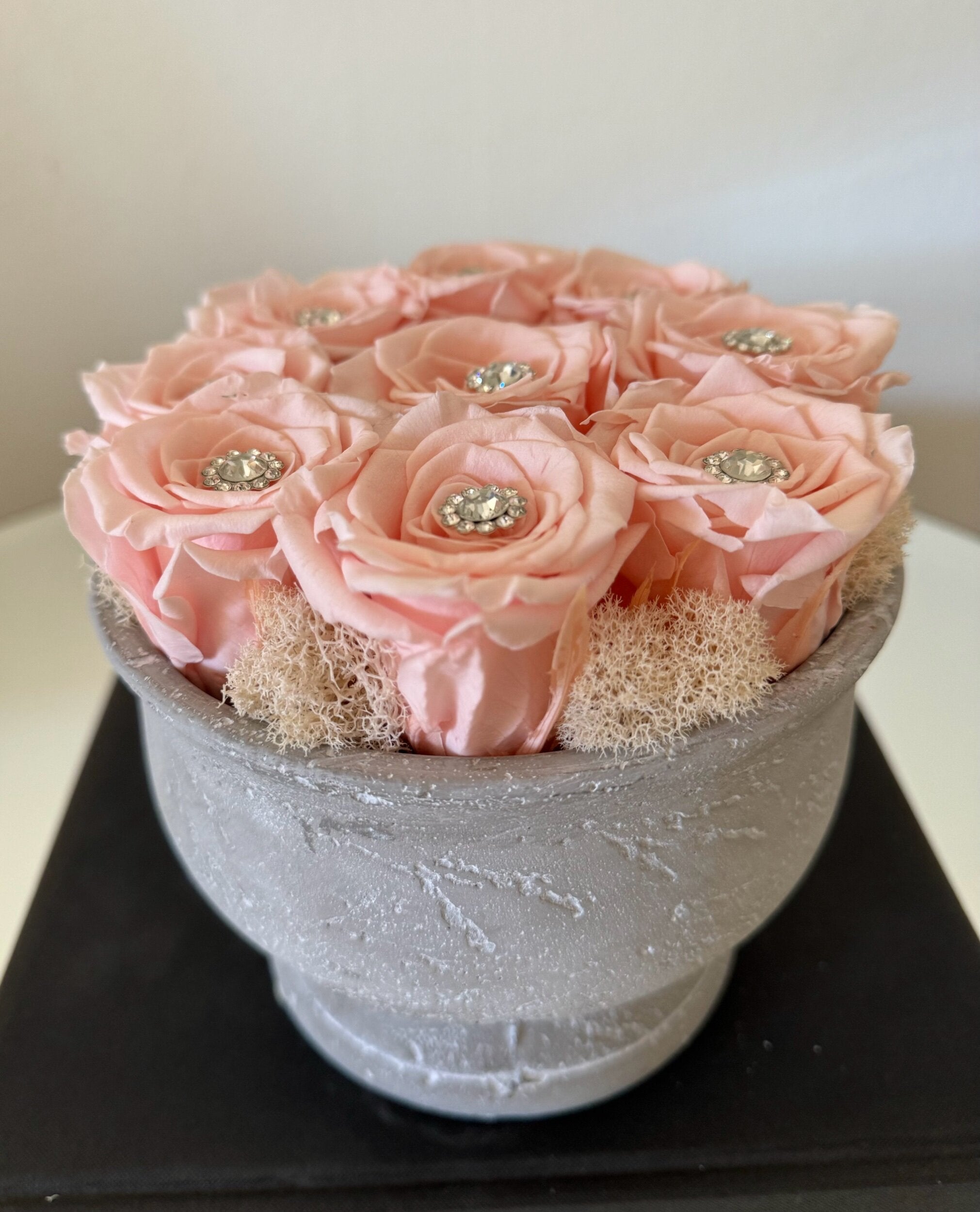 Baby Pink Delight