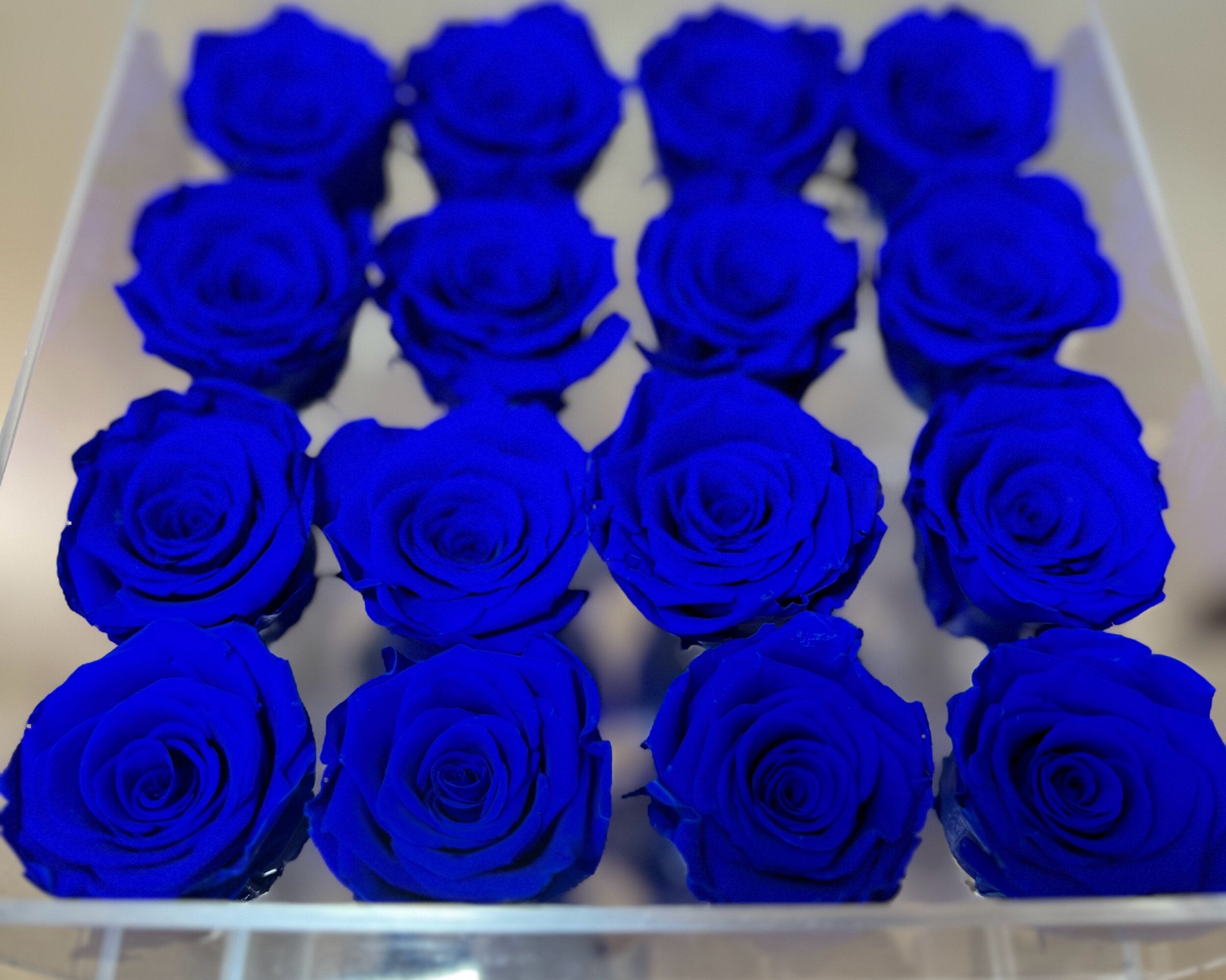 Acrylic Rose Box (Blue)