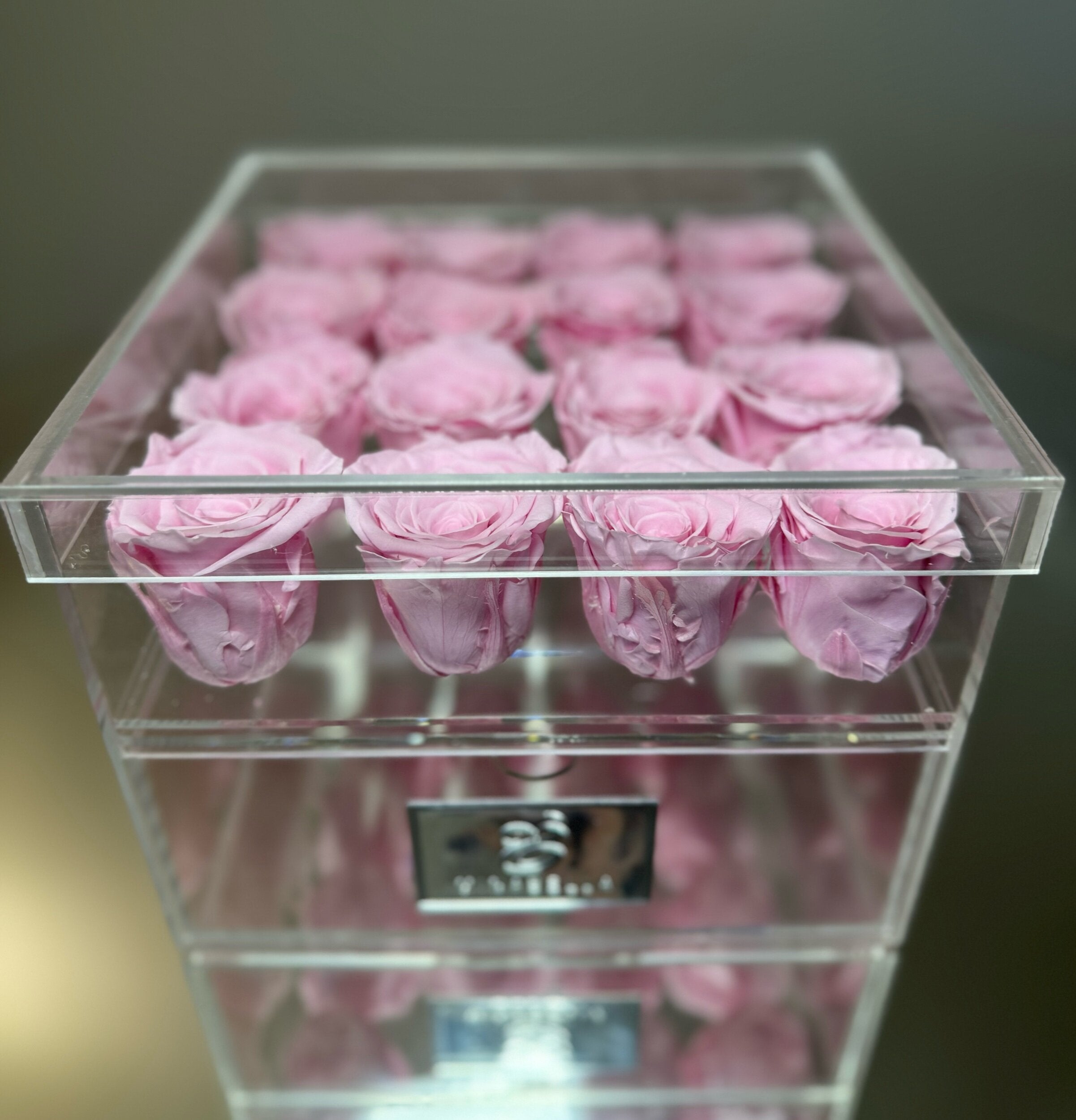 Acrylic Rose Box (Pink)