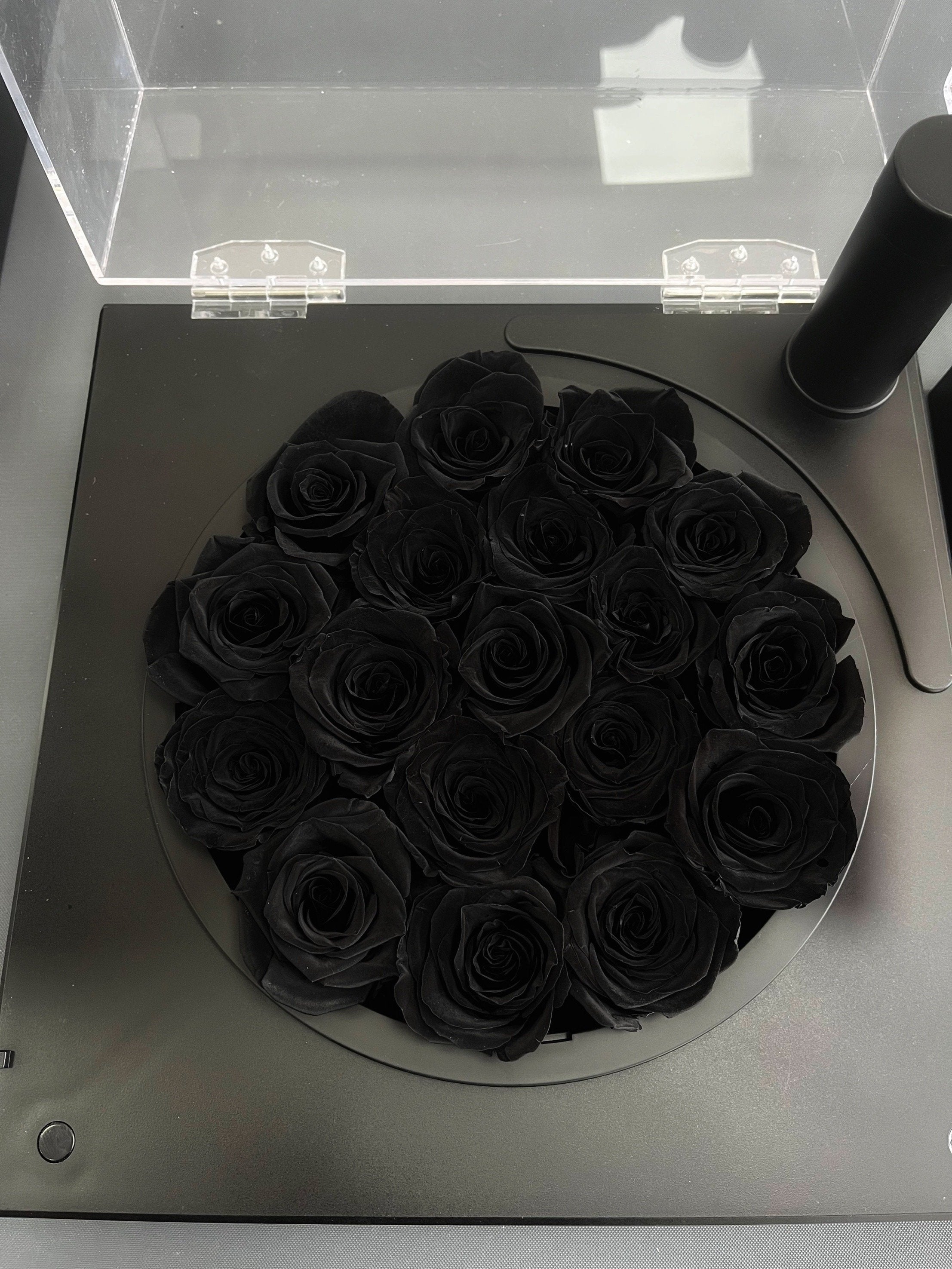 The Sound of Roses