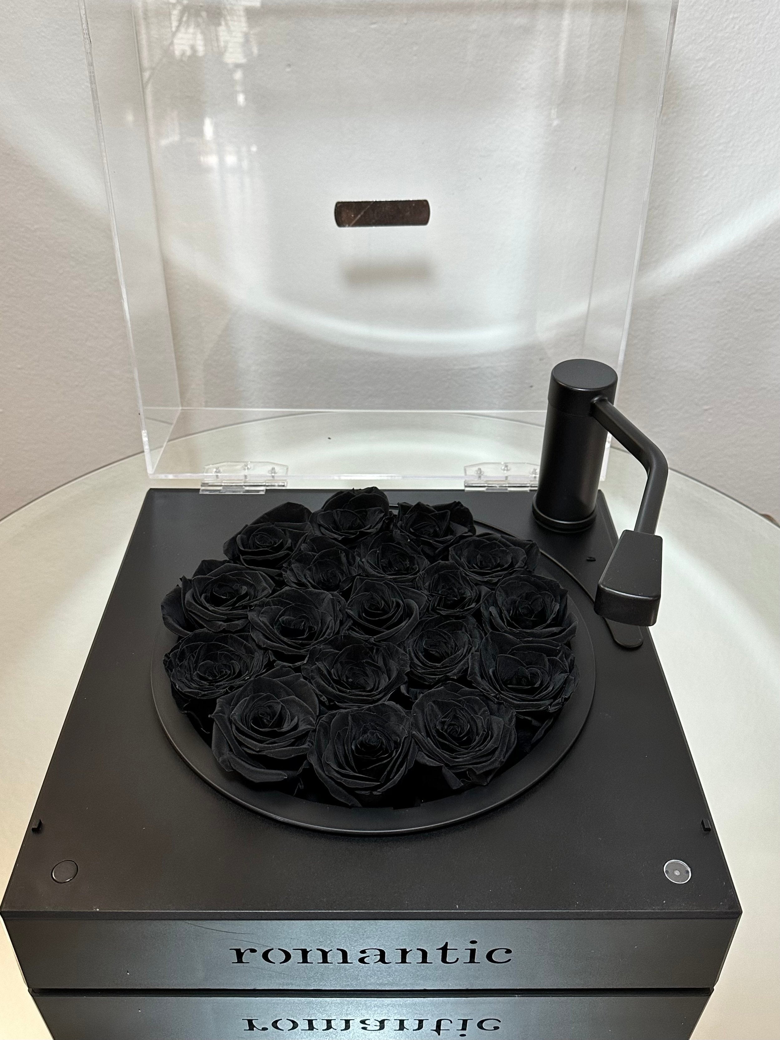 The Sound of Roses