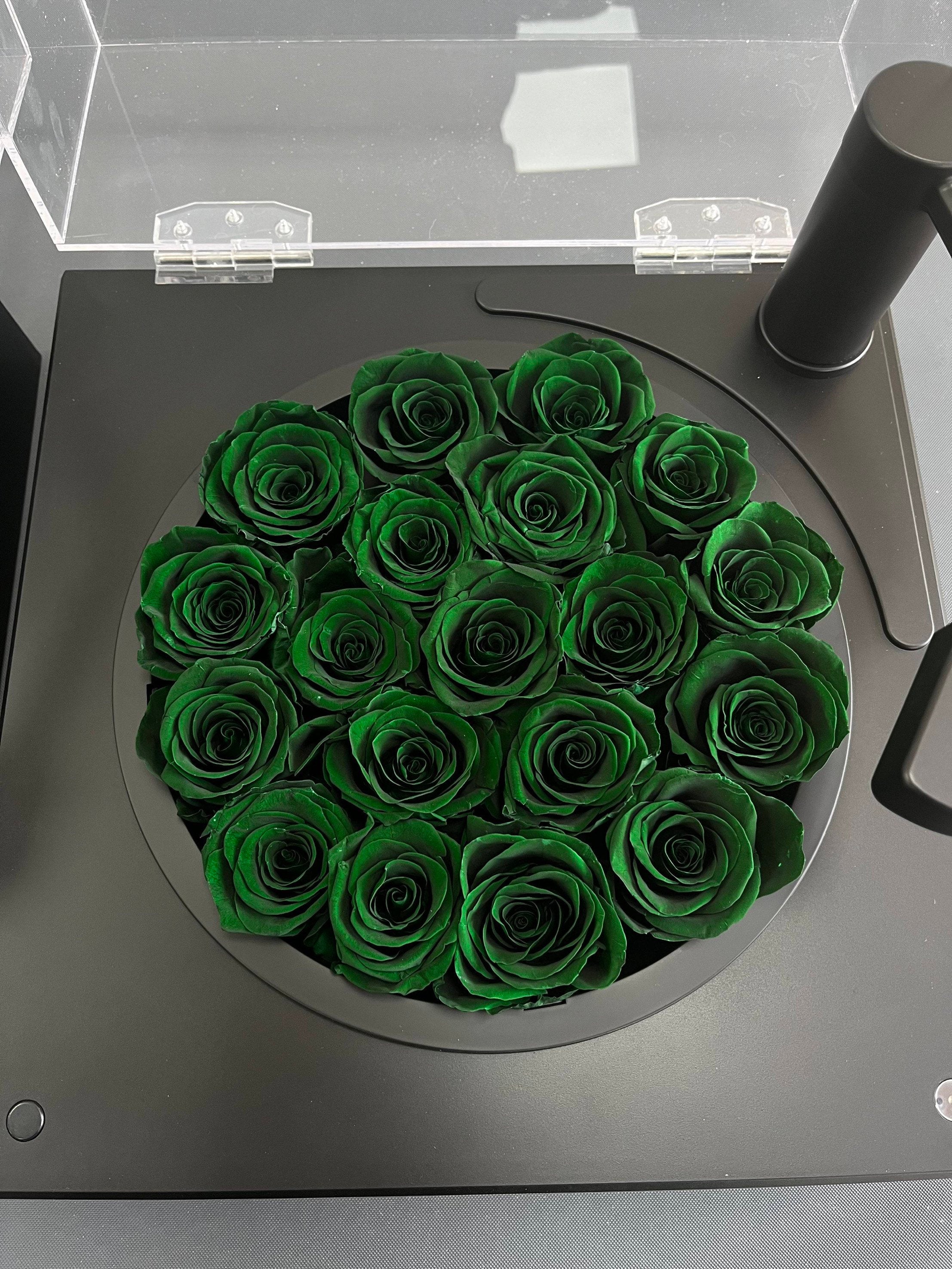 The Sound of Roses