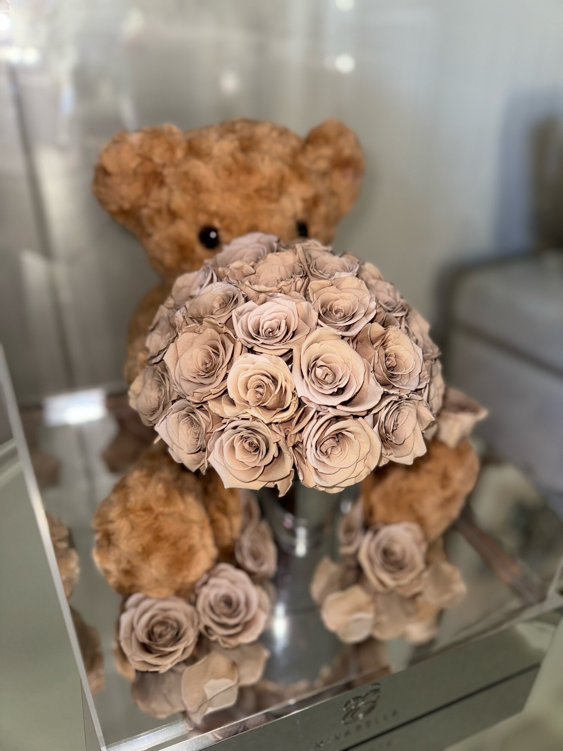 Teddy & Co.