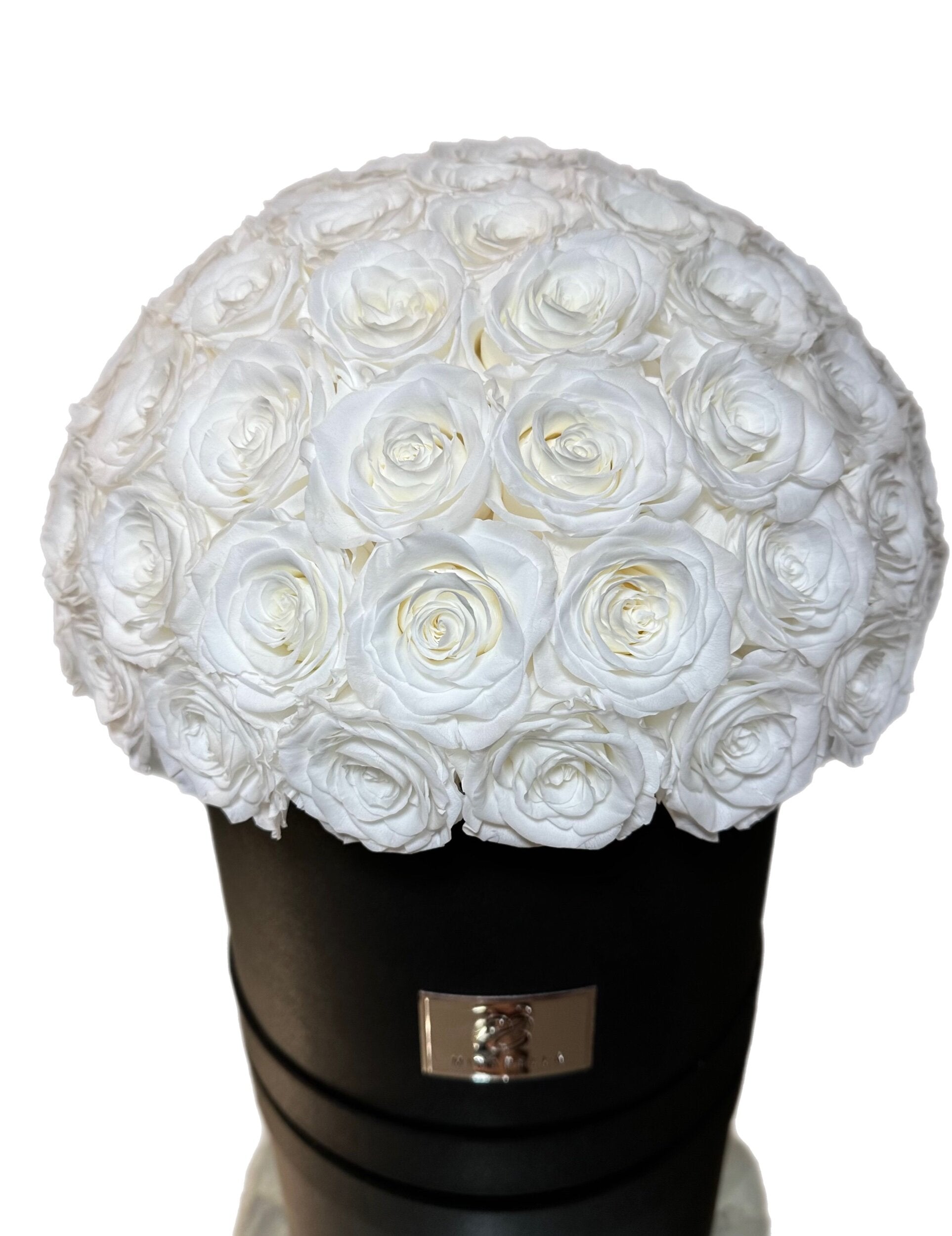 Large Dome - White Roses – MinaBella Roses