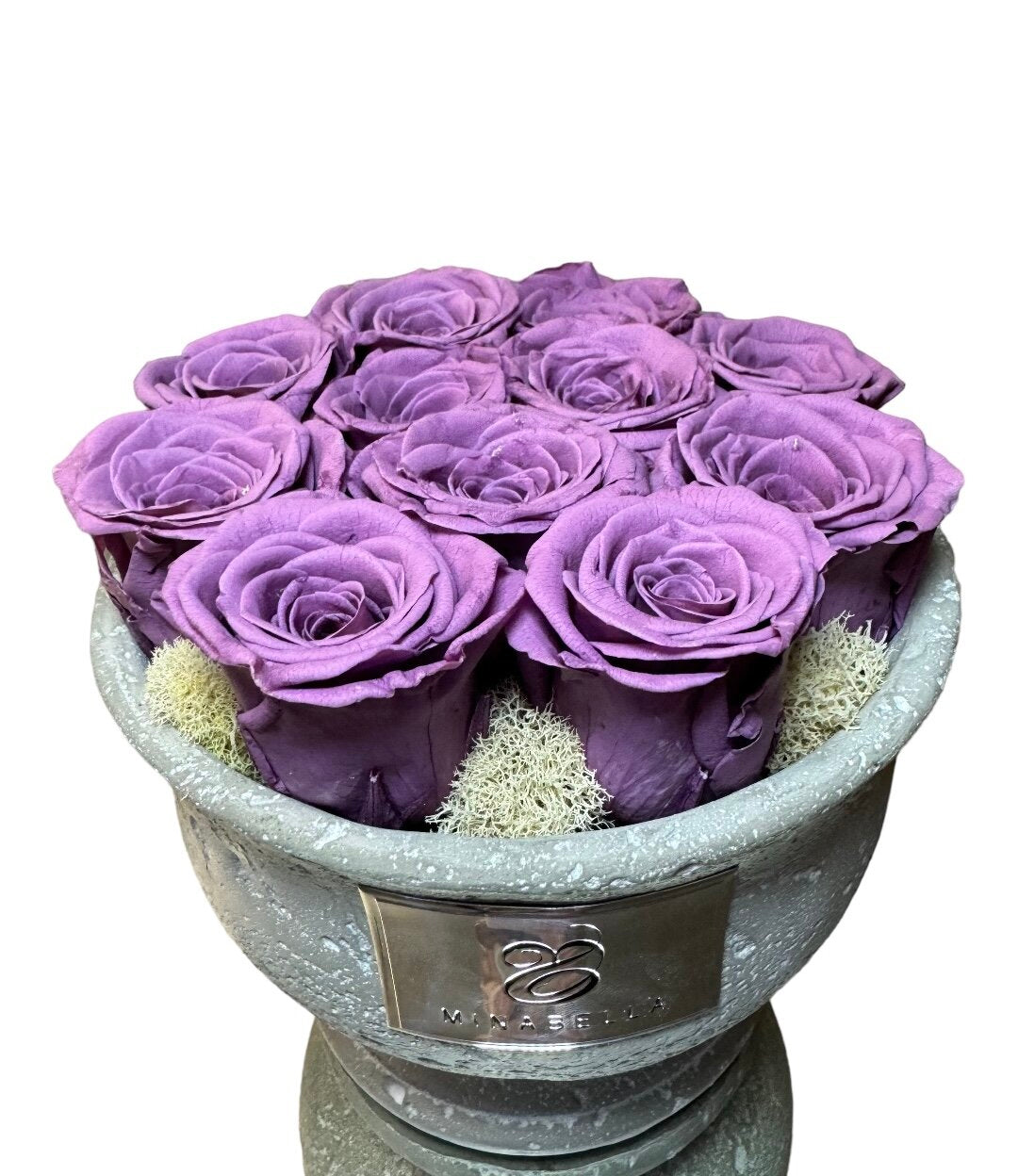 Lavender Paradise