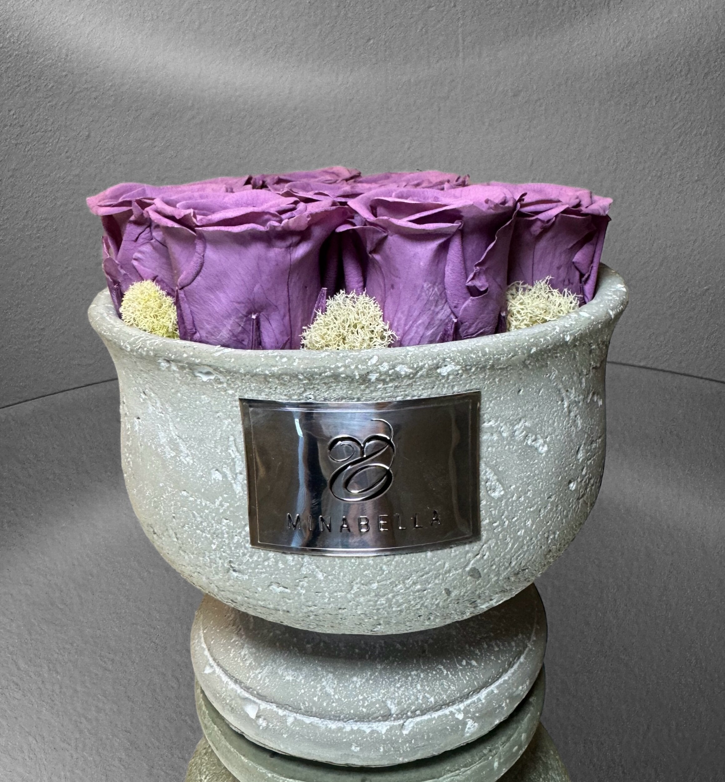 Lavender Paradise